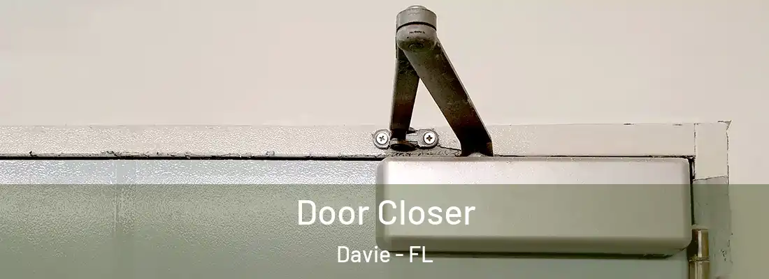 Door Closer Davie - FL