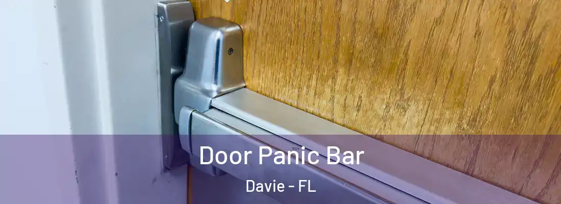  Door Panic Bar Davie - FL