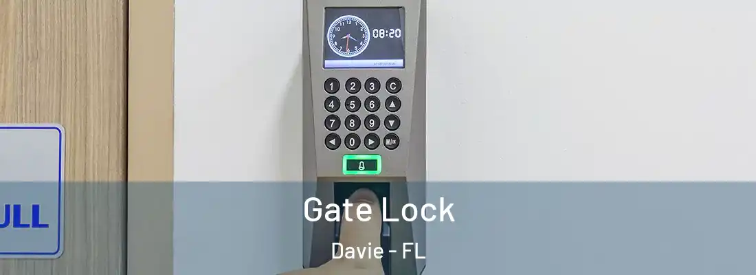 Gate Lock Davie - FL