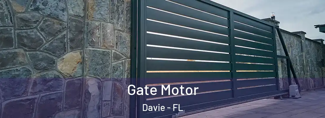 Gate Motor Davie - FL