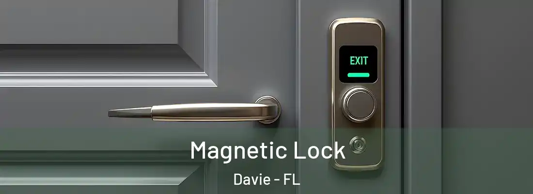 Magnetic Lock Davie - FL