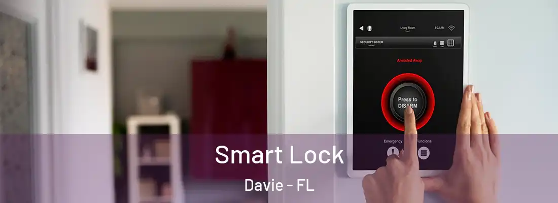 Smart Lock Davie - FL